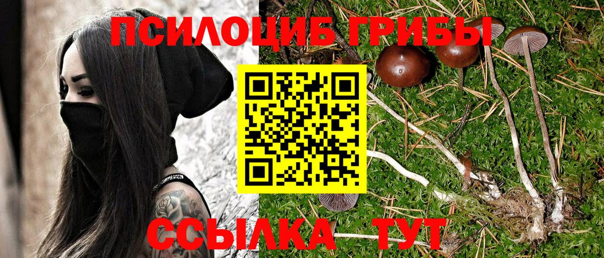 Псилоцибиновые грибы ЛСД  Вход с VPN  Галлюциногенные грибы мицелий  Минеральные Воды 